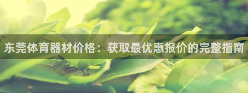 极悦生活家是什么平台的产品：东莞体育器材价格：获取最