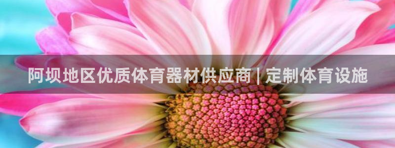 极悦娱乐官方网站入口：阿坝地区优质体育器材供应商 |