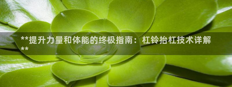 极悦平台和蓝狮平台区别在哪