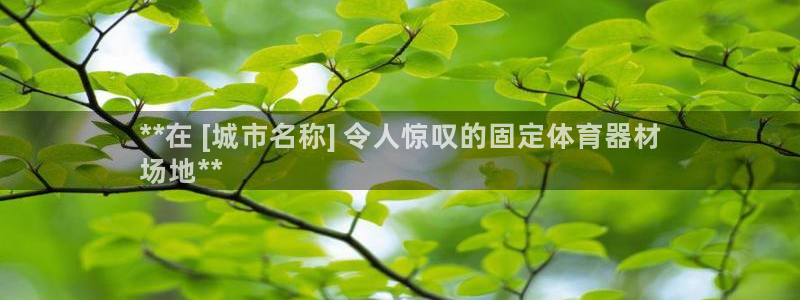 极悦娱乐官网入口：**在 [城市名称] 令人惊叹的固