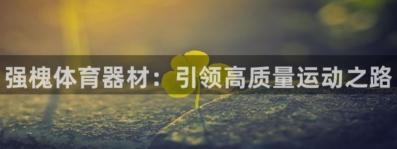 极悦平台官网登录网址：强槐体育器材：引领高质量运动之