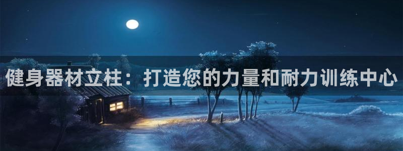 极悦平台好7.0.2.4怎么样：健身器材立柱：打造您的力量和