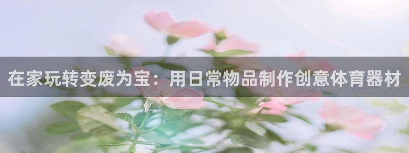 极悦平台注册申请流程详解图：在家玩转变废为宝：用日常物品制作