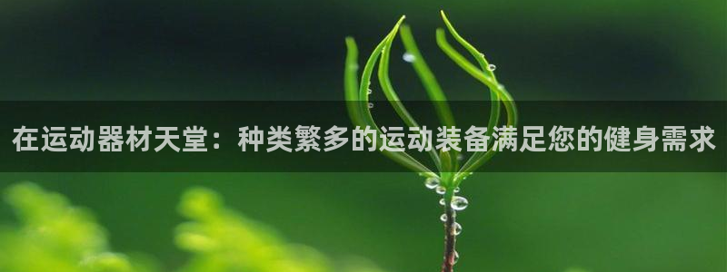 无锡极悦科技有限公司：在运动器材天堂：种类繁多的运动