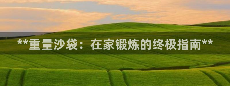 极悦平台官网入口登录：**重量沙袋：在家锻炼的终极指