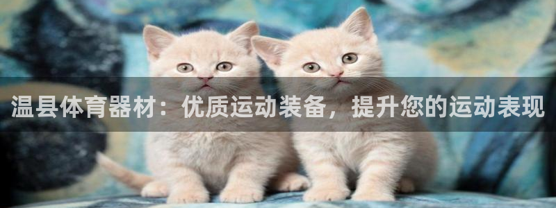 极悦娱乐股东：温县体育器材：优质运动装备，提升您的运动表现