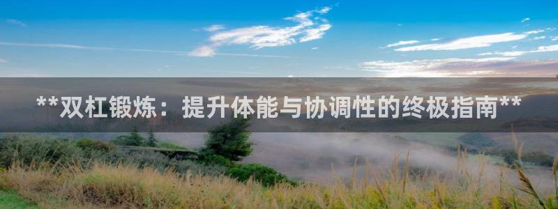 极悦平台官方网址是什么：**双杠锻炼：提升体能与协调