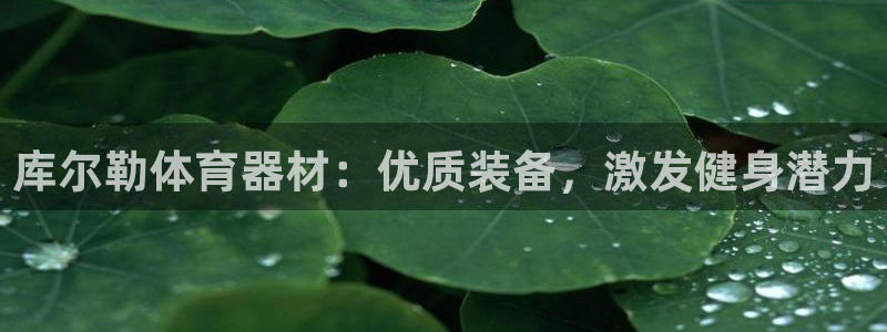 极悦平台注册太7.0.2.4好用吗：库尔勒体育器材：优质装备