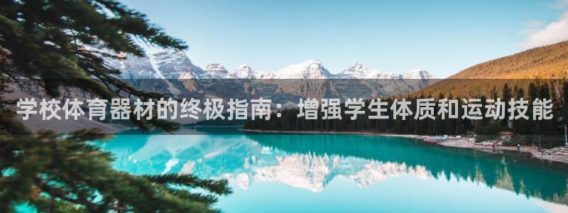 极悦娱乐的背景和历史背景：学校体育器材的终极指南：增
