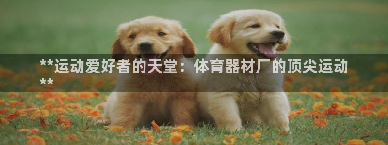 极悦娱乐官网最新版本更新内容：**运动爱好者的天堂：体育器材