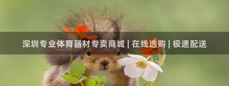 极悦官方网站：深圳专业体育器材专卖商城 | 在线选购 | 极
