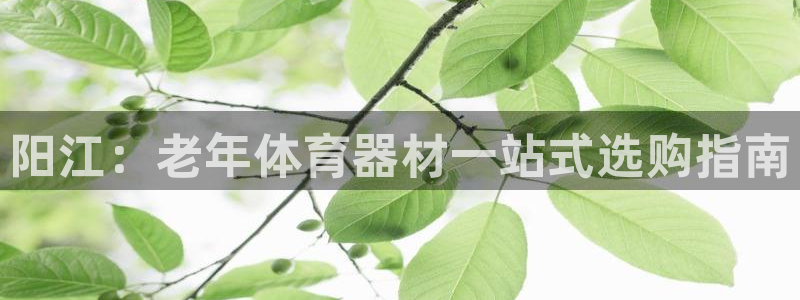 极悦平台平台登录入口：阳江：老年体育器材一站式选购指南