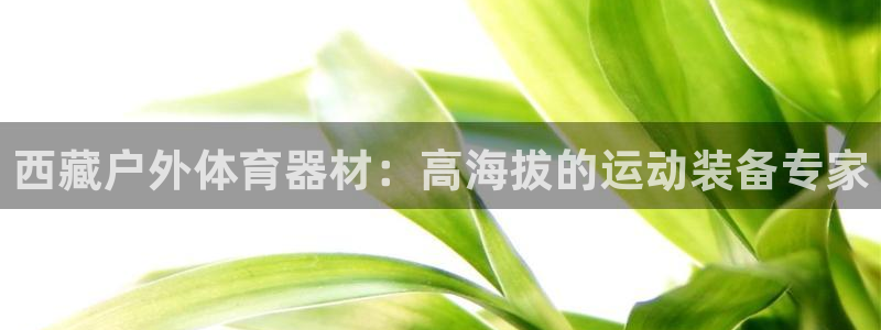 极悦娱乐官网APP下载