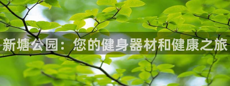 极悦平台使用教程图解