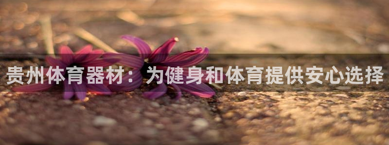 极悦娱乐下载官网：贵州体育器材：为健身和体育提供安心