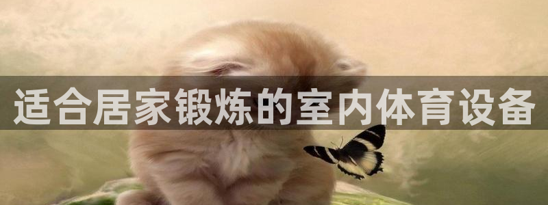 极悦平台注册失败如何解决问题：适合居家锻炼的室内体育