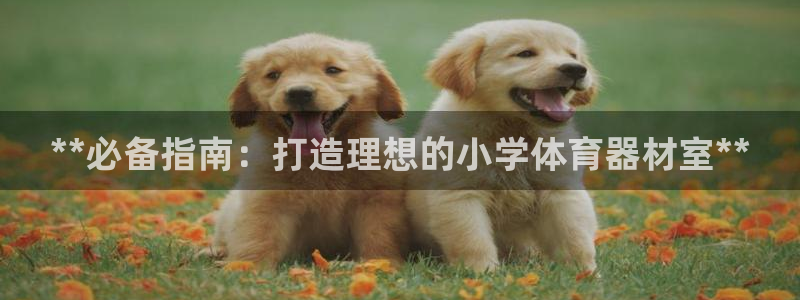 极悦平台官网登录入口下载：**必备指南：打造理想的小