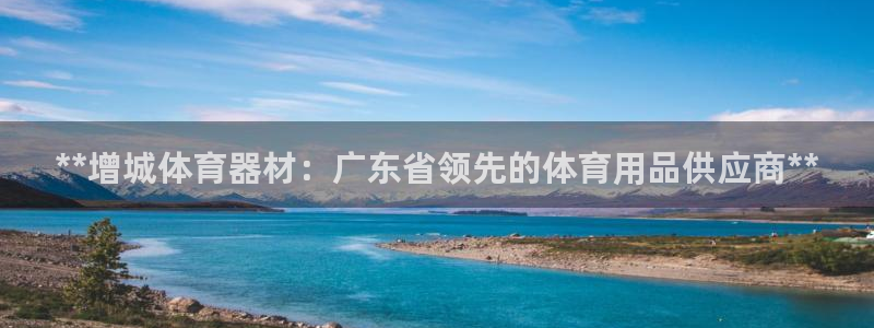 极悦平台与网易合作详情在哪