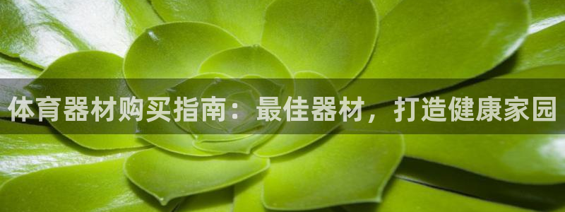 极悦平台官网入口登录：体育器材购买指南：最佳器材，打