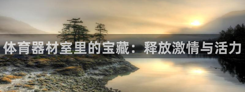 极悦平台用户评价与反馈怎么设置：体育器材室里的宝藏：释放激情