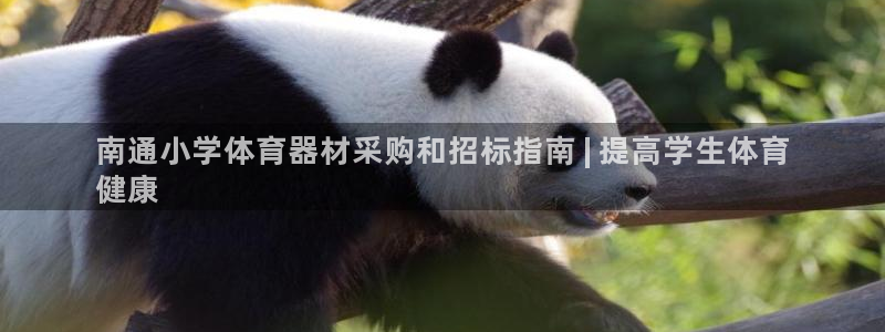 极悦平台官网入口登录：南通小学体育器材采购和招标指南