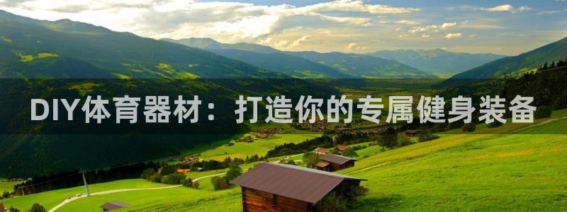 极悦平台注册和登录页面在哪：DIY体育器材：打造你的专属健身