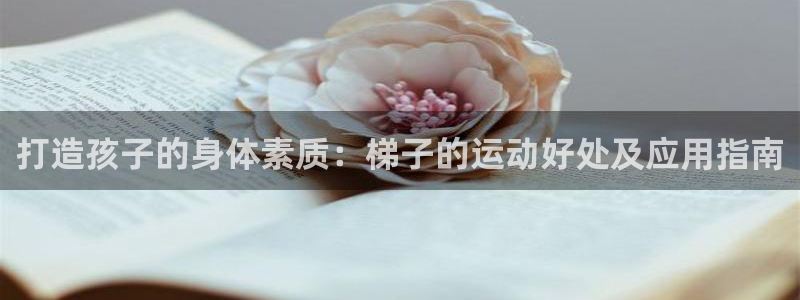 极悦娱乐公司最新招聘信息网
