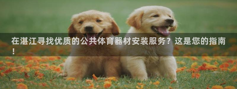 极悦是什么牌子空调：在湛江寻找优质的公共体育器材安装服务？这