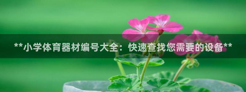 极悦平台是干嘛的软件：**小学体育器材编号大全：快速查找您需
