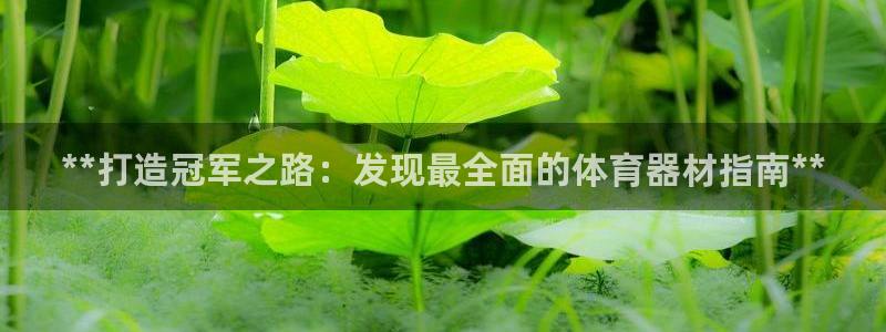 极悦平台登录7.0.2.4手机版下载安卓：**打造冠