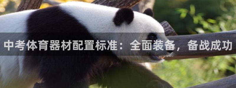 极悦平台登录最新版本更新内容在哪：中考体育器材配置标