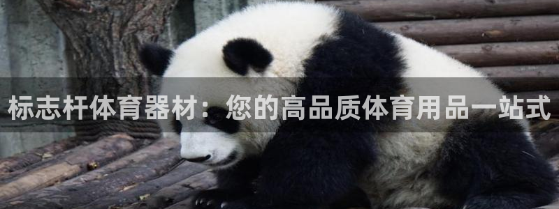 极悦娱乐官方网站首页：标志杆体育器材：您的高品质体育