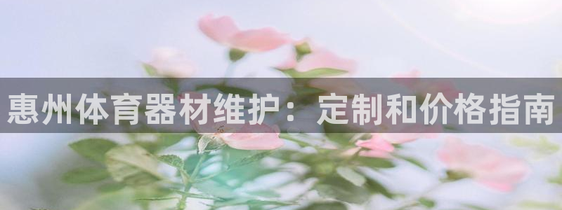 极悦平台官方网站下载：惠州体育器材维护：定制和价格指