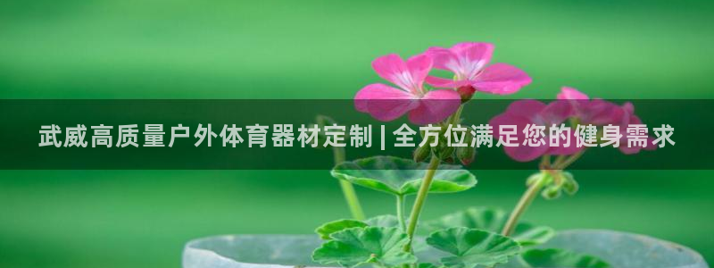 极悦平台官网登录不了怎么办：武威高质量户外体育器材定