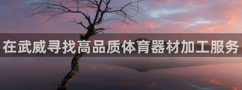 极悦平台用户评价：在武威寻找高品质体育器材加工服务