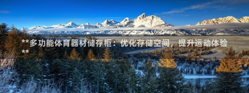 极悦娱乐挂机赚钱是真的吗吗：**多功能体育器材储存柜：优化存