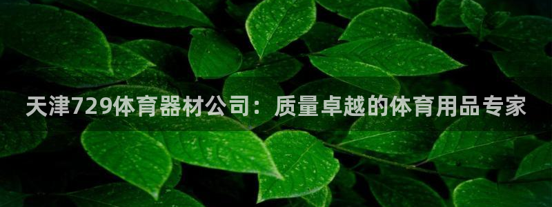 极悦平台官方网站首页登录：天津729体育器材公司：质