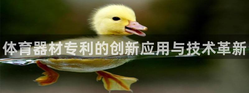 加盟极悦教育多少钱
