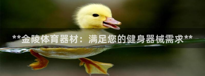 极悦平台使用注意事项：**金陵体育器材：满足您的健身