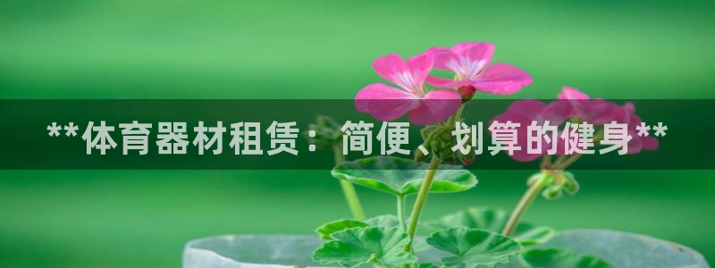 极悦娱乐贴吧官网：**体育器材租赁：简便、划算的健身