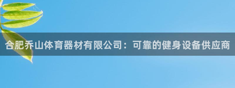 极悦官方网站app下载软件：合肥乔山体育器材有限公司：可靠的