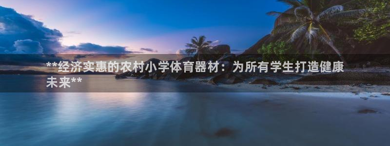 极悦平台官方网站入口下载：**经济实惠的农村小学体育器材：为