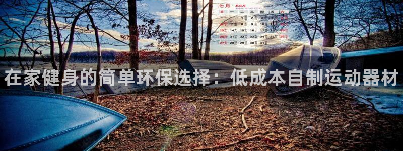 极悦平台官方网站登录：在家健身的简单环保选择：低成本自制运动