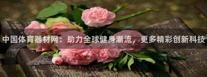 极悦娱乐的创始人背景故事介绍：中国体育器材网：助力全球健身潮