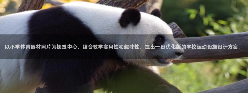 极悦娱乐app官方版本更新内容在哪