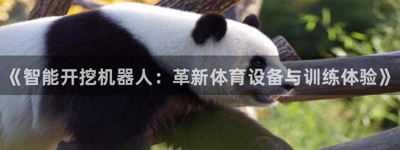 极悦平台官方网站下载安卓：《智能开挖机器人：革新体育