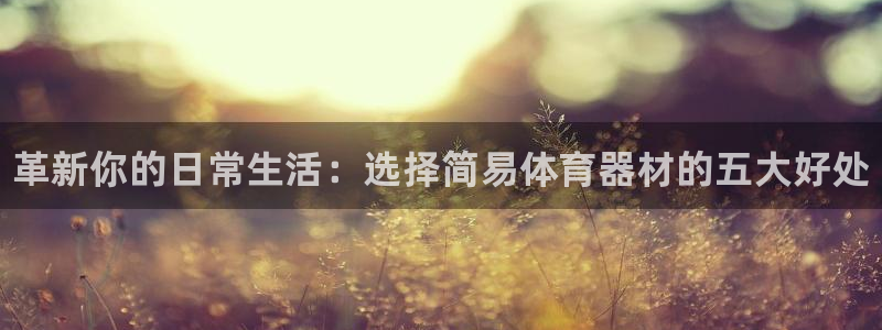 极悦平台注册申请流程详解图片：革新你的日常生活：选择