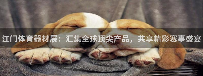 极悦平台用户评价在哪里看：江门体育器材展：汇集全球顶尖产品，