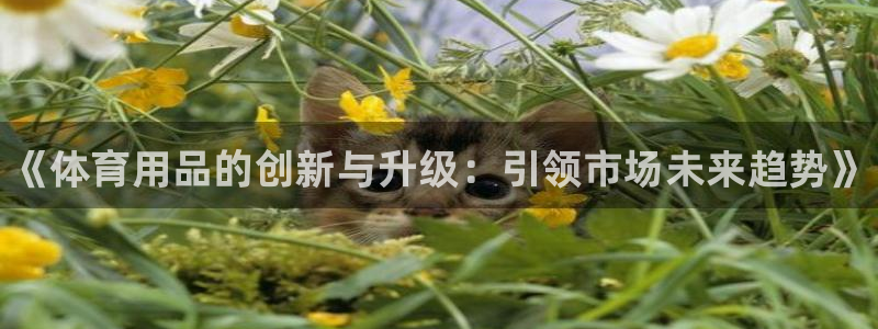 极悦牙膏好吗：《体育用品的创新与升级：引领市场未来趋