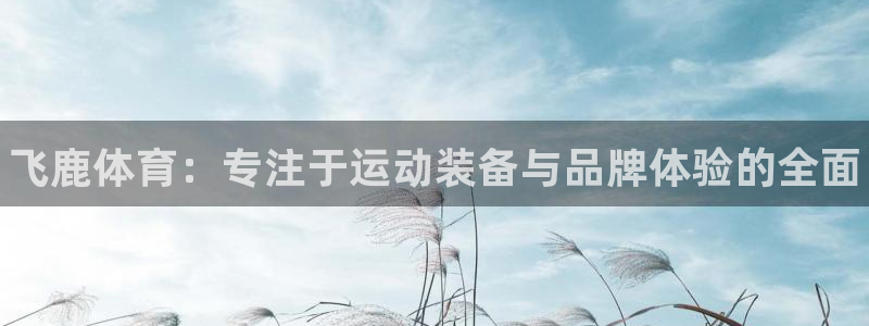 极悦娱乐app官方版本更新内容下载：飞鹿体育：专注于